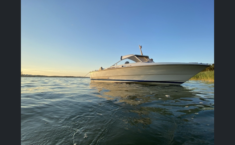 Fjord Wing 19-kuva-7